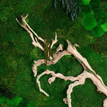 Preserved Moss Wall Art