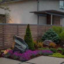 Front And Backyard