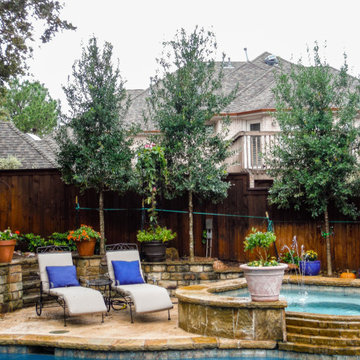 Evergreen Trees & Shrubs