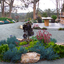 Landscape Ideas