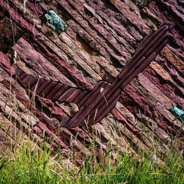 Fusing Art and Ecology