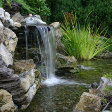 Garden ideas