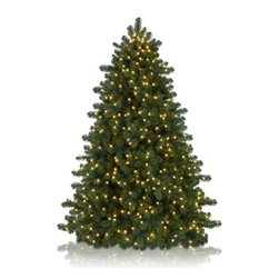 Balsam Hill Olympia Spruce Artificial Christmas Tree - Christmas Trees