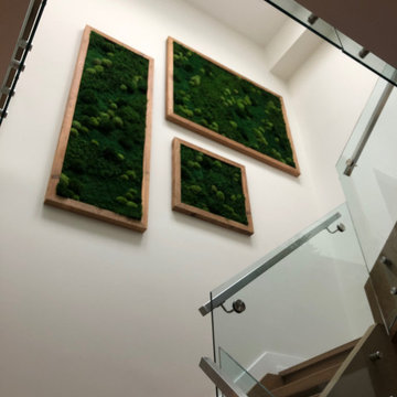 Residential Mixed Moss Features