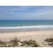 Paradise Florida's photo