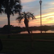 Tracey Mcbride's photo