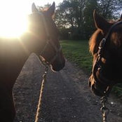 Amy Smith's photo