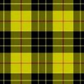 Alyson MacLeod's photo
