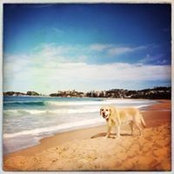 Sam Pethen's photo