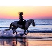 Barbara Jean's photo