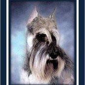 Brian Beitz's photo
