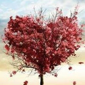 Lisa Coppage's photo