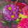 abdullah_al_harthy