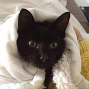 Daniela Coimbra Pinto's photo