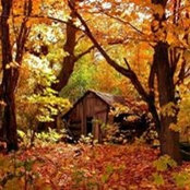 Beverly Miller's photo