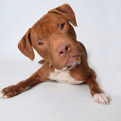 Charles D's photo