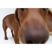 Claude Letessier's photo