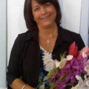 Susan Brophy's photo