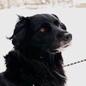 Martin Beyer's photo