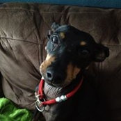 Emily Harmon's photo