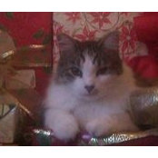 Barbara Kitchens's photo