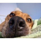 Kathy Taylor's photo