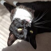 Doreen Desmet's photo