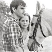 Allison Messer's photo