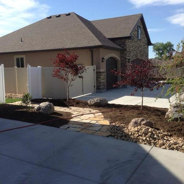 Recent Project