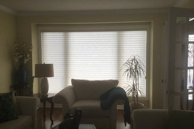 Shades and Blinds