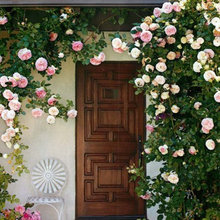 Exterior ideas