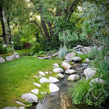 Backyard Retreat