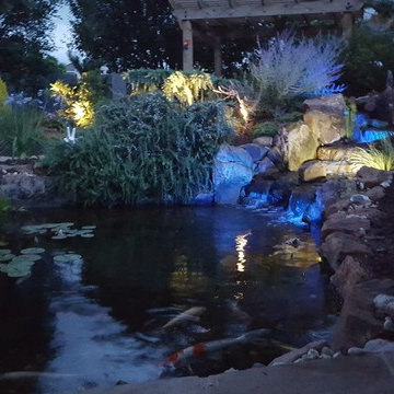Marilyn's Pond With Waterfalls, a Stream, and a Bog Filter