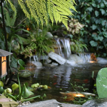 Backyard Retreat