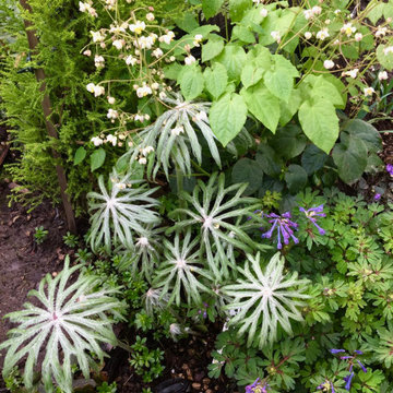 A plant lover's paradise