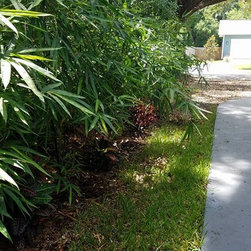 Bamboo installations - Products