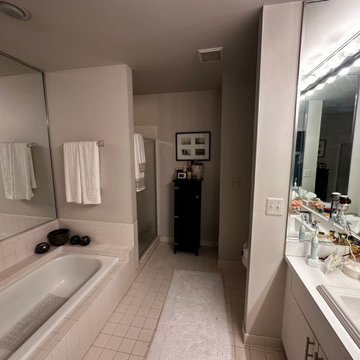 Upcoming Master Bathroom in Farmington Hills