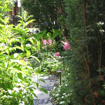 Walkways and Paths