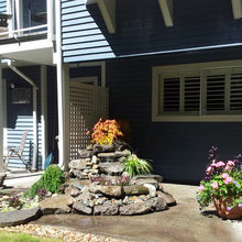 Back yard garden