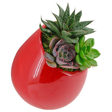 Small Round Wall Planter, Red