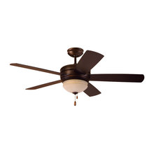 Outside fan w/light