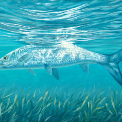 Bone Fish Flash - Artwork