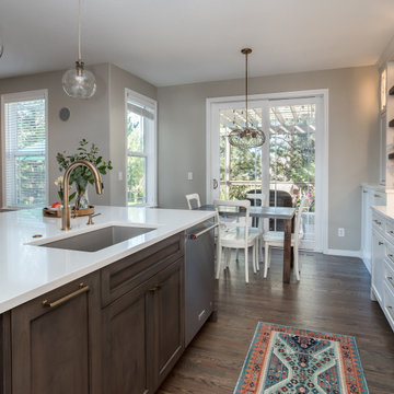 Highlands Ranch Sleek Transitional Kitchen