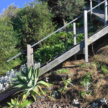 Hayborough | Victor Harbor | Front Garden | Coastal Garden