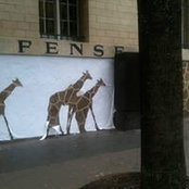 Ali Lakrouf's photo