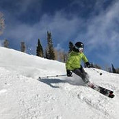 Nicolas Coulombe's photo