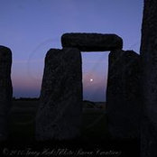 Tracy Hicks's photo
