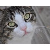 Vicki Stone's photo