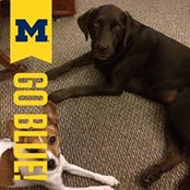 Tracy Rademacher's photo