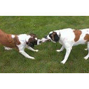 Debbie Errico's photo